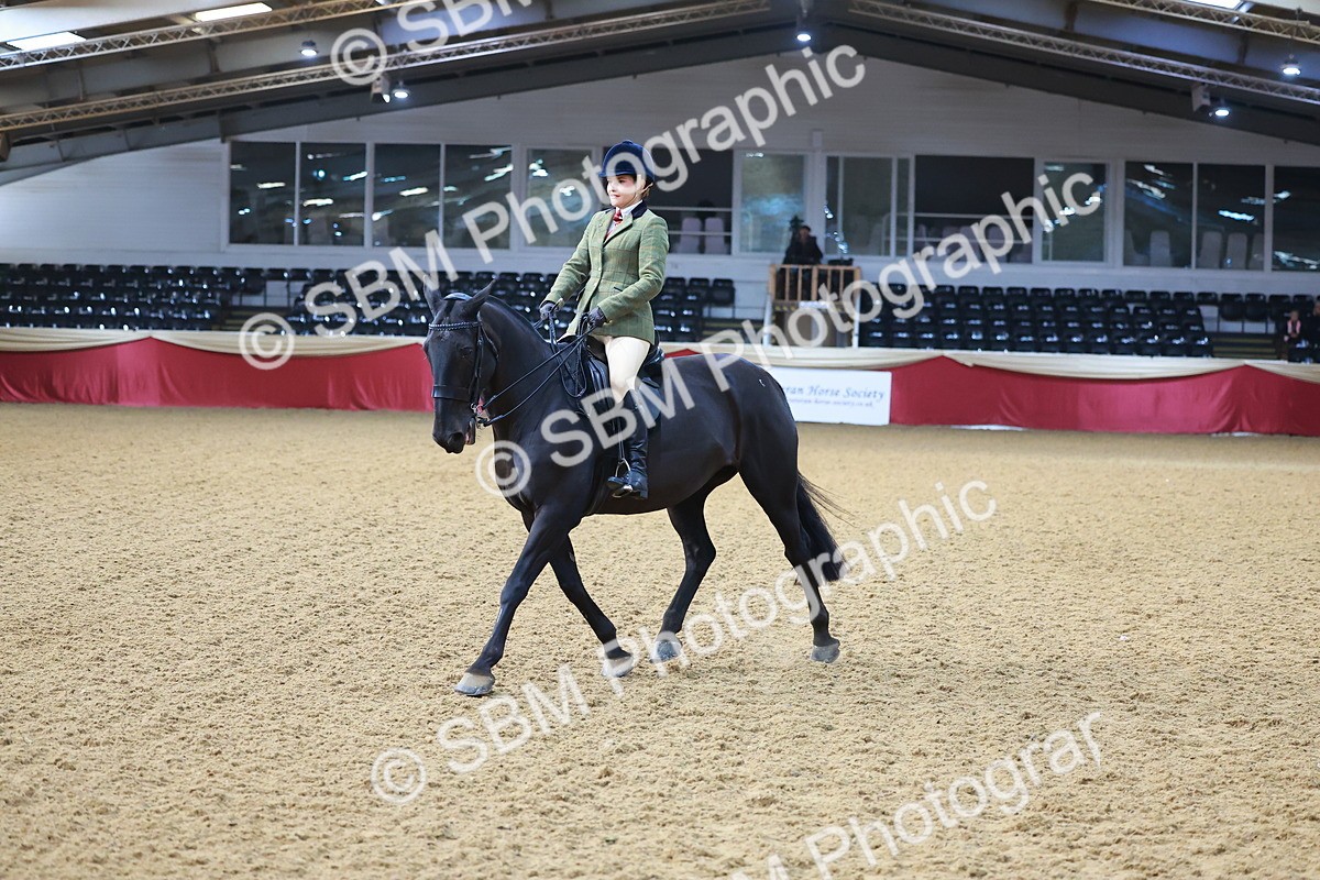 SBM_07683 - Class 101 - HOYS Veteran Qualifier - Ridden Diamond