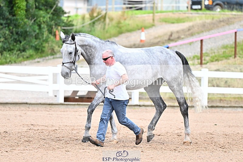 240718A-105323-01932 - Trot Up 2pm to 3pm - This folder is not in time order