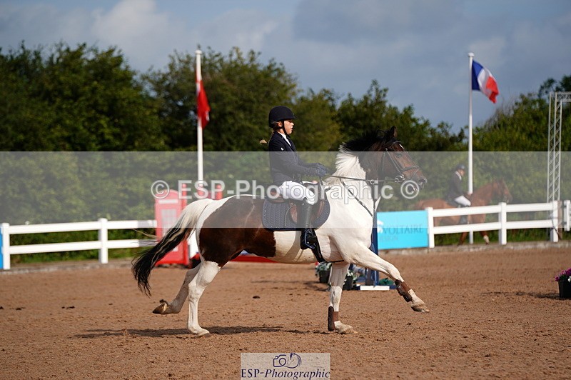 240803A-091140-06469 - Cls 34 British Novice and 90cm Open