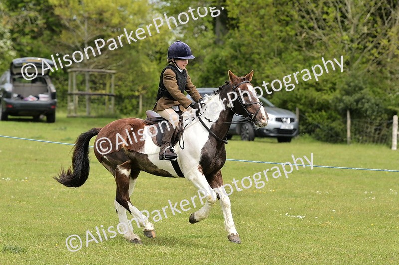 20260426-2427 - Class 21 - Working Hunter Ponies
