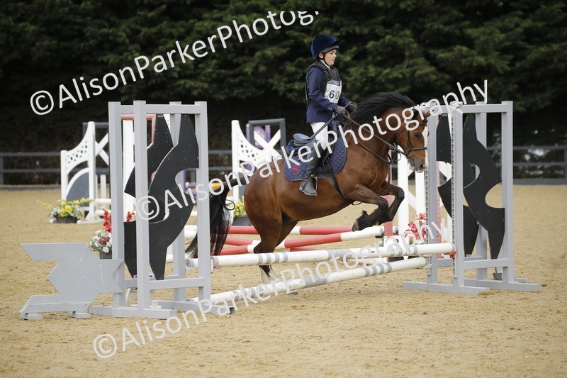 20250622-3636 - 50cm