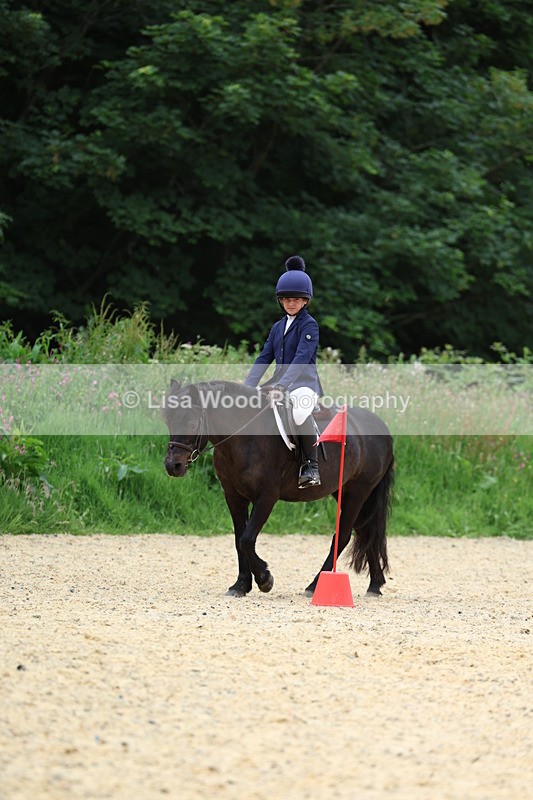 3E7A9322 - Walk trot run