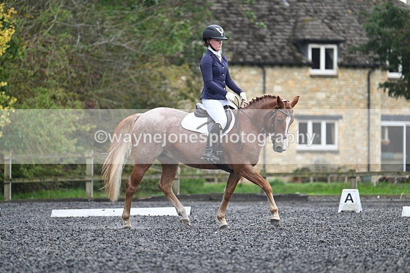 WJ7_3702 - Time 11:04 to 11:38