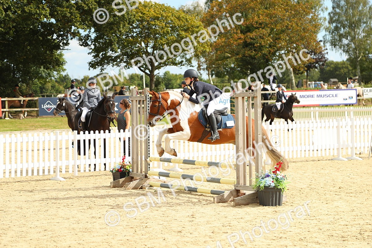 SBM_46447 - J7 - Junior Pony 60cm Championship
