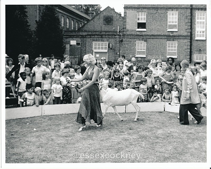  - Open air Circus Barmy park Bethnal green