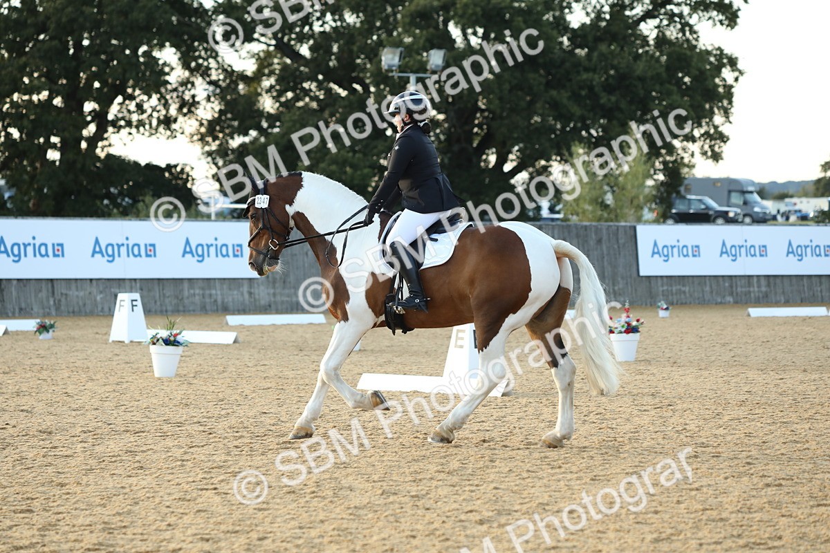 SBM_30599 - D20 - Grand Tour Championship - Elementary 44