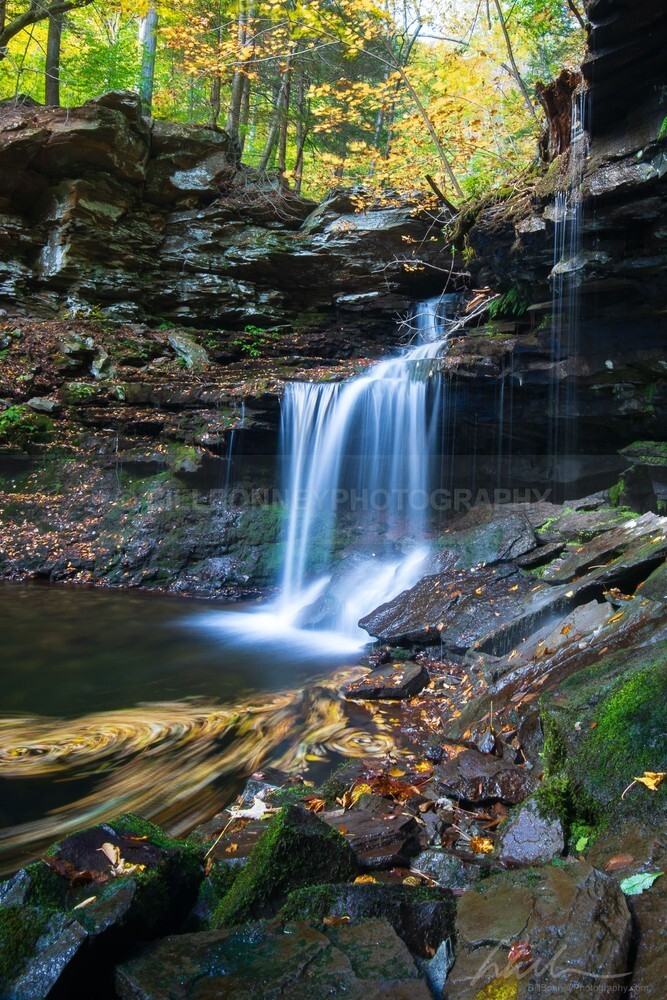 DSC_2701 - Autumn