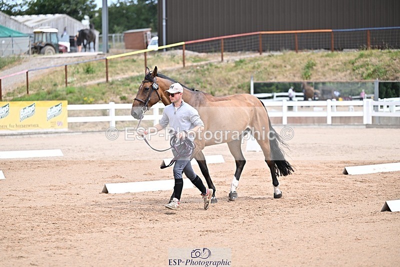 250716-130637-00334 - Trot Up 12.30 to 1.30