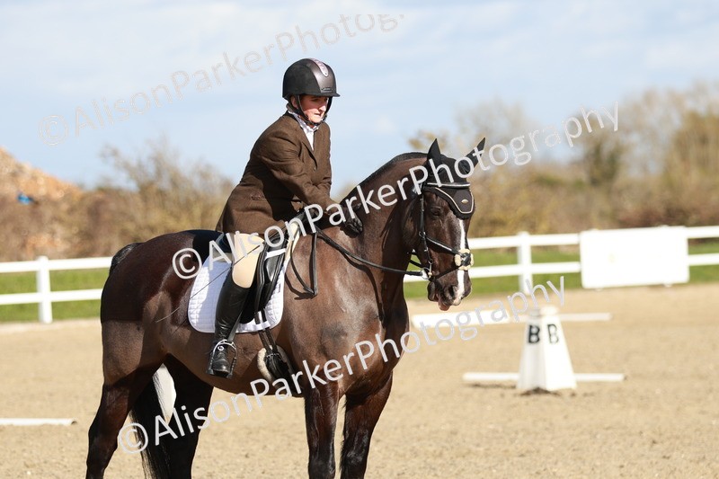 20260314-4457 - DR4 - Prelim 2