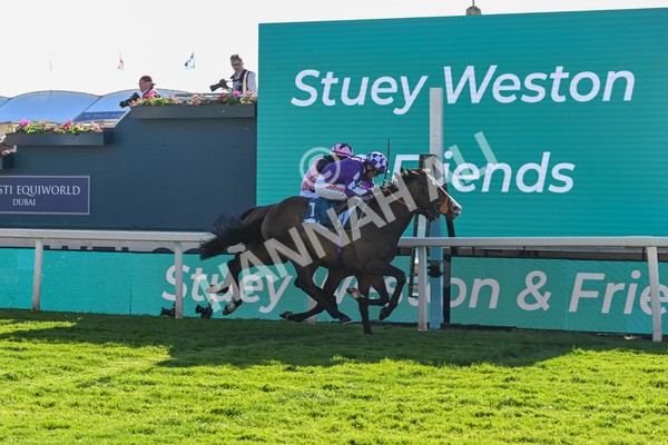 140525-Race 7-Great Bedwyn-3091 - Race 7 5.25pm Stuey Weston & Friends Getting Out Handicap
