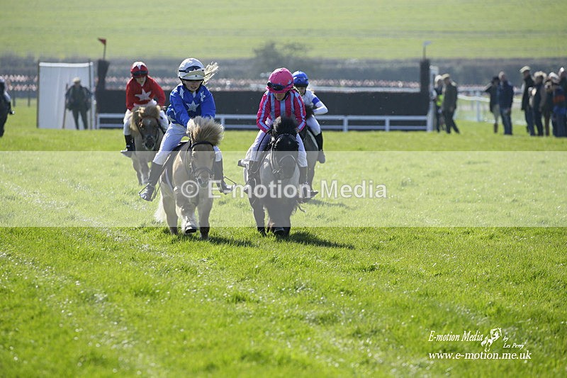 PtP 190322 4 - Wilton Hunt PtP Milborne St Andrew 19/03/22