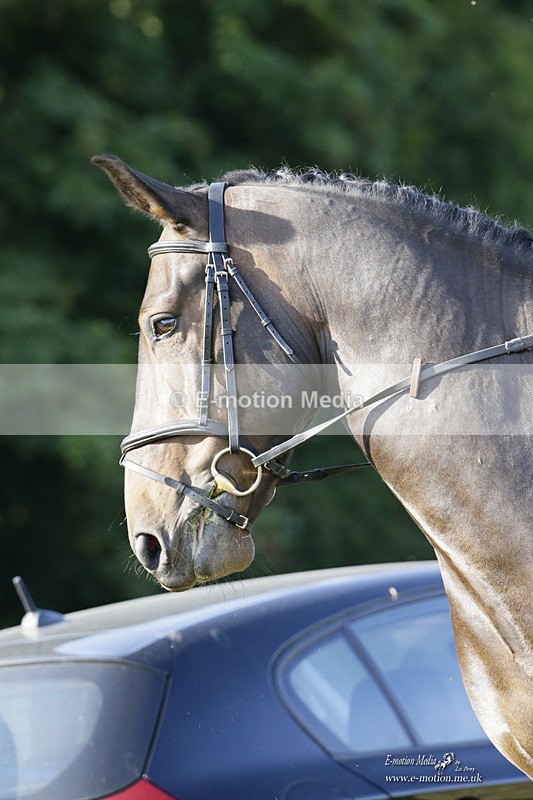 BVRC 120921 134 - Bourne Valley Riding Club UA Dressage & Show Jumping 12/09/21