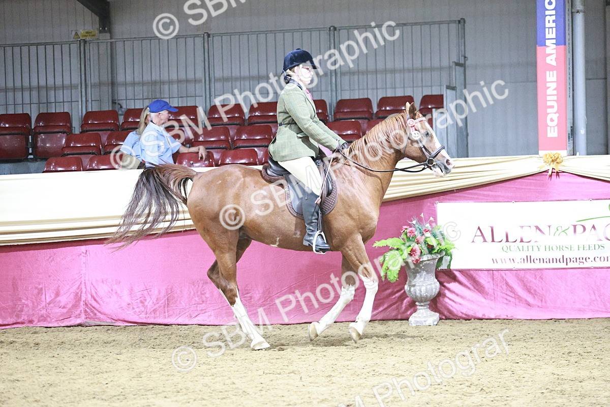 SBM_08052 - Class 11R - Regional Ridden Veteran