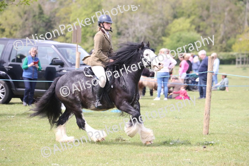 20260426-2972 - Class 33 - Best Pony 14.2hh and Under
