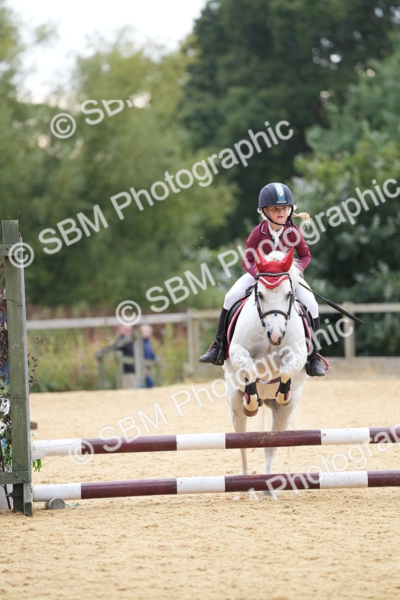 SBM_74604 - J4 - Mini Tour Junior Pony 45cm Championship