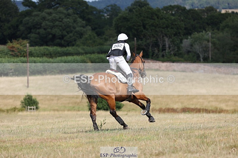 250802A-155054-06871 - E-202-Rupert.Hyde-RL.SHANTI