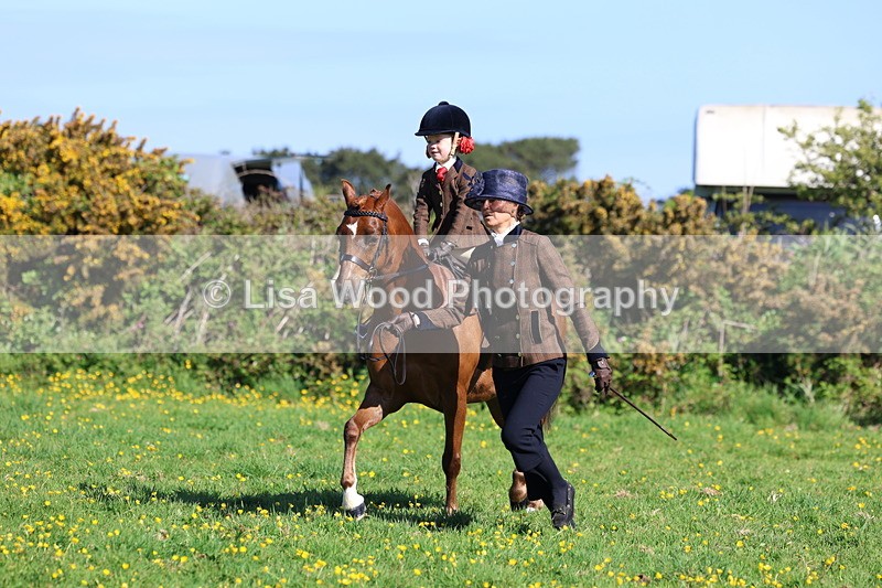 3E7A8805 - Class 2: Lead rein