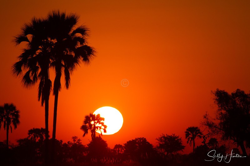 Sunset in the Okavango