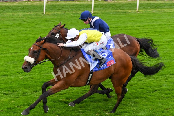 230823-Race 5-Forza Orta-0713 - Race 5 4.10pm Sky Bet Stayers Handicap