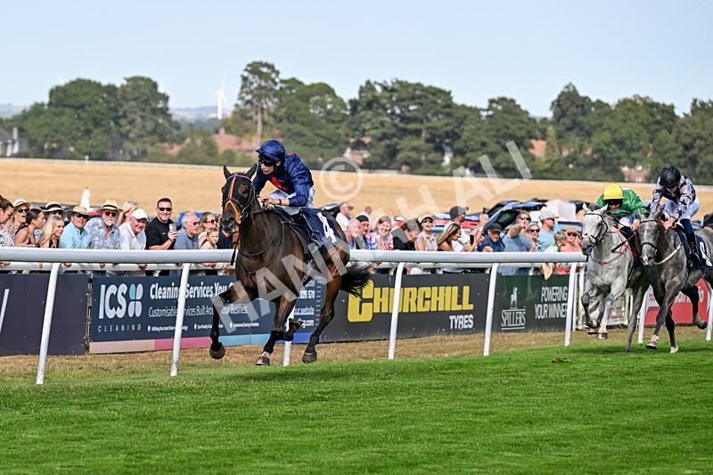 130826-Race 5-Wardlaw-9463 - Race 5 16.15pm Middle Distance Handicap