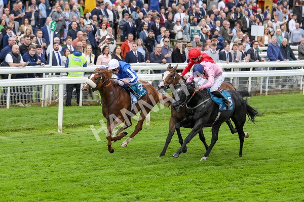 190523-Race 3-Marhaba The Champ-7752 - Race 3 3.00pm Knights Solicitors Handicap