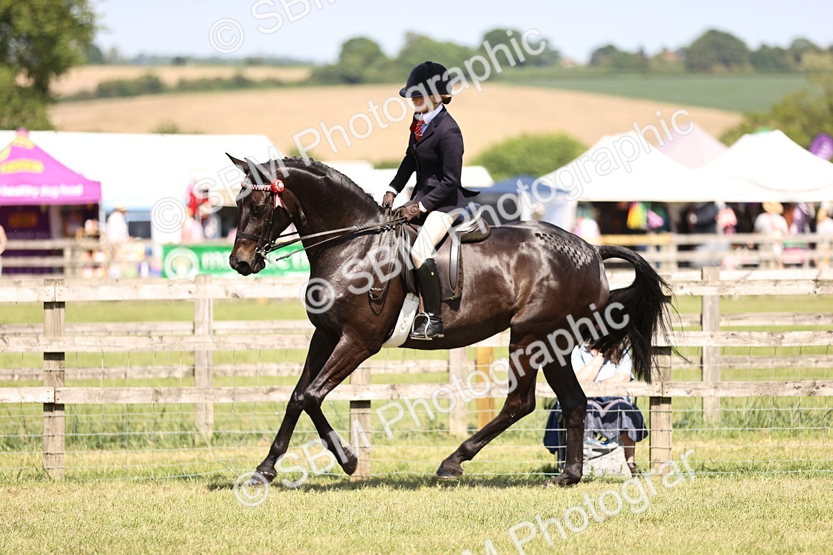 SBM_18034 - Class 81-83 - TSR Ridden Amateur of the Year - Horses