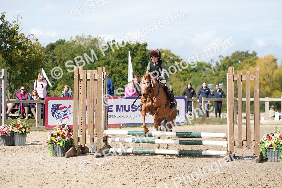 SBM_40777 - Supreme Championship Pony 50-55cm