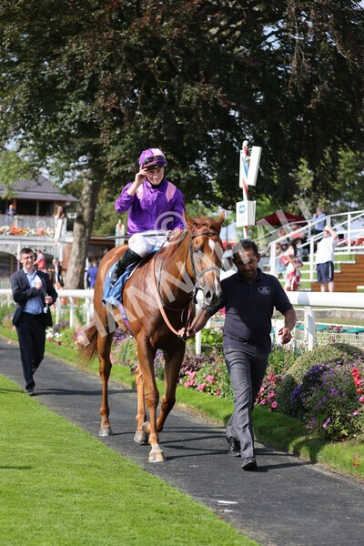 yr05092021r3-27 - Race 3 3.15pm The BioWaveGo Garrowby Stakes