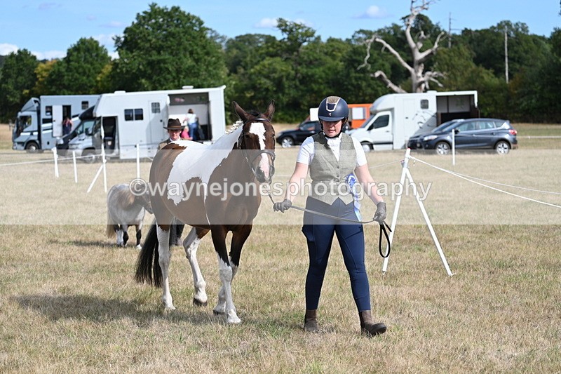 WJ7_8025 - In-hand Championship