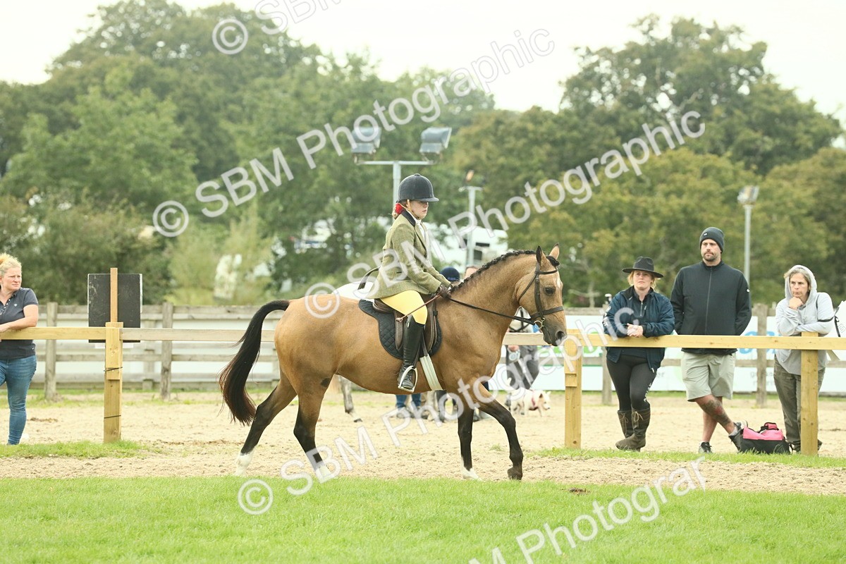SBM_73964 - S 61 - Show Pony & Show Hunter Pony Ridden