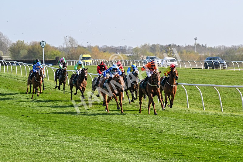080426-Race 5-Free Pic-0562 - Race 5