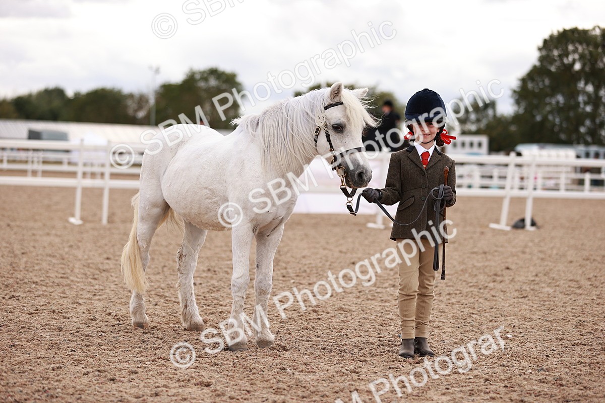 SBM_18495 - Class 420 - Ridden M&M