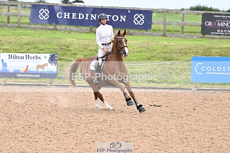 240828A-164445-01421 - Cls 5 Snr Foxhunter and 1.20m Open