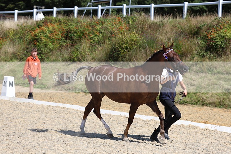 3E7A9584 - Class 32: Best Grass Kept