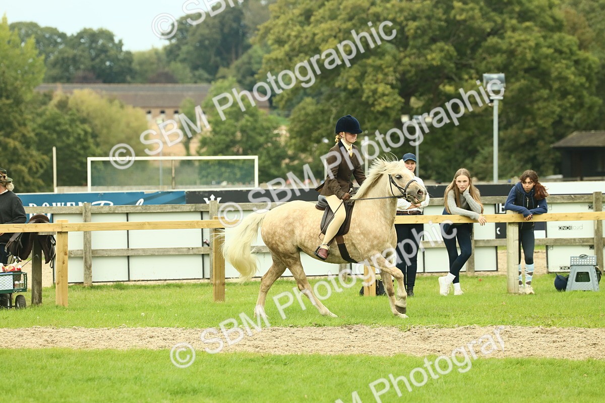 SBM_72032 - S60 - Mountain & Moorland Ridden Large Breeds