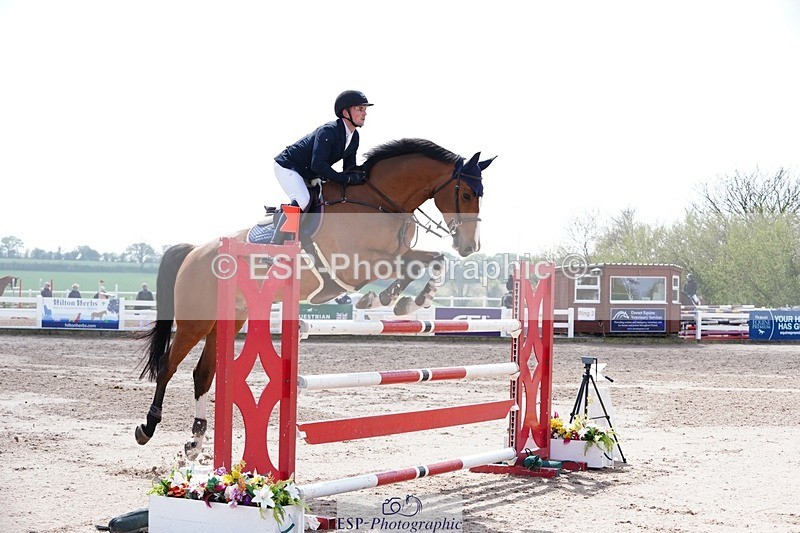 250425-133136-10027 - Cls 34 Young Horse 7yr old