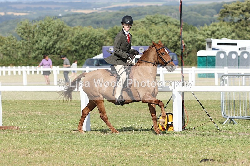 JPP_2918 - Class 20: Working Hunter 70cm