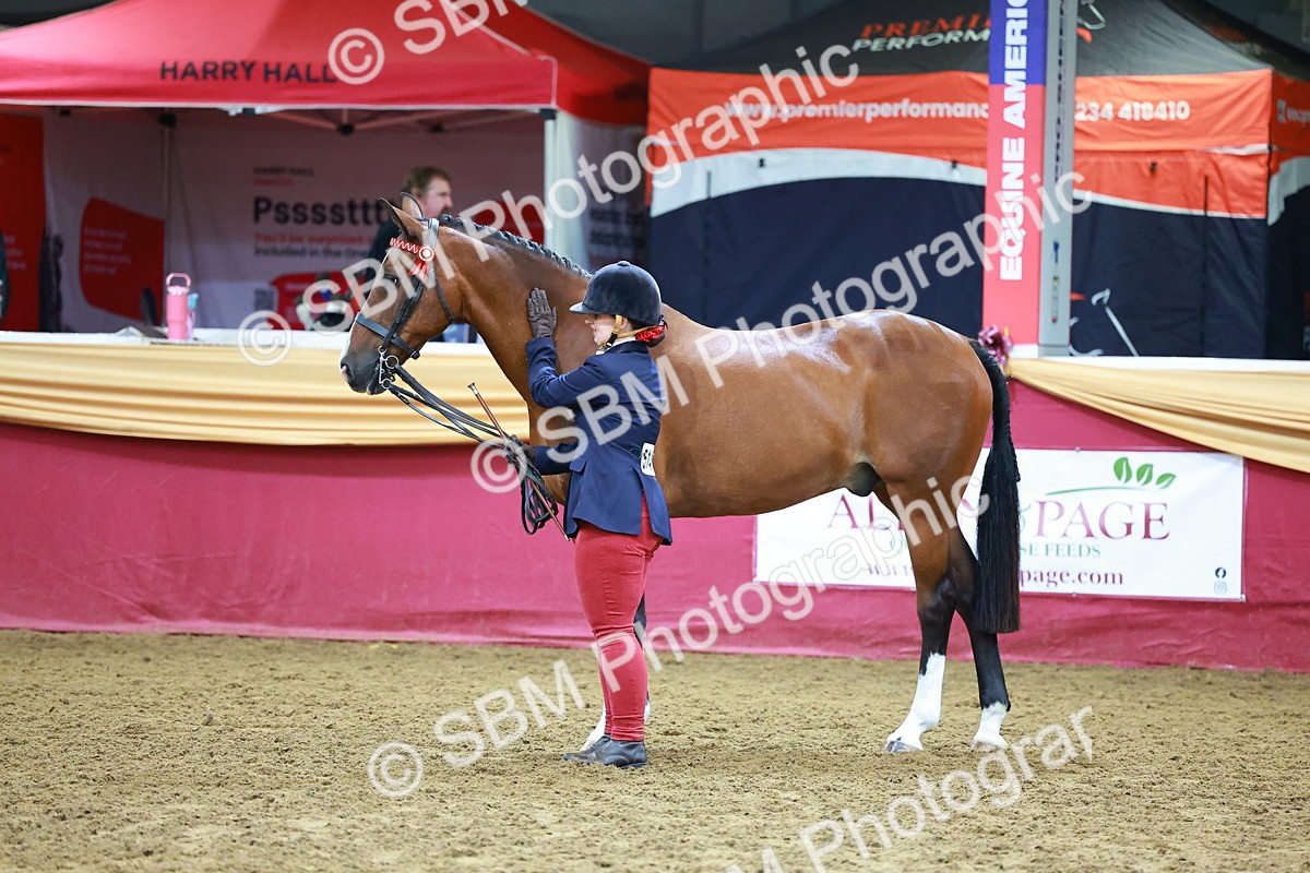 SBM_16189 - Class 901 - Sup Final - IH Diamond