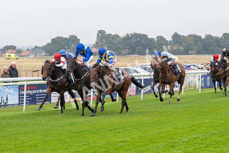 240924-Race 1-Dr Rio-5730 - Race 1