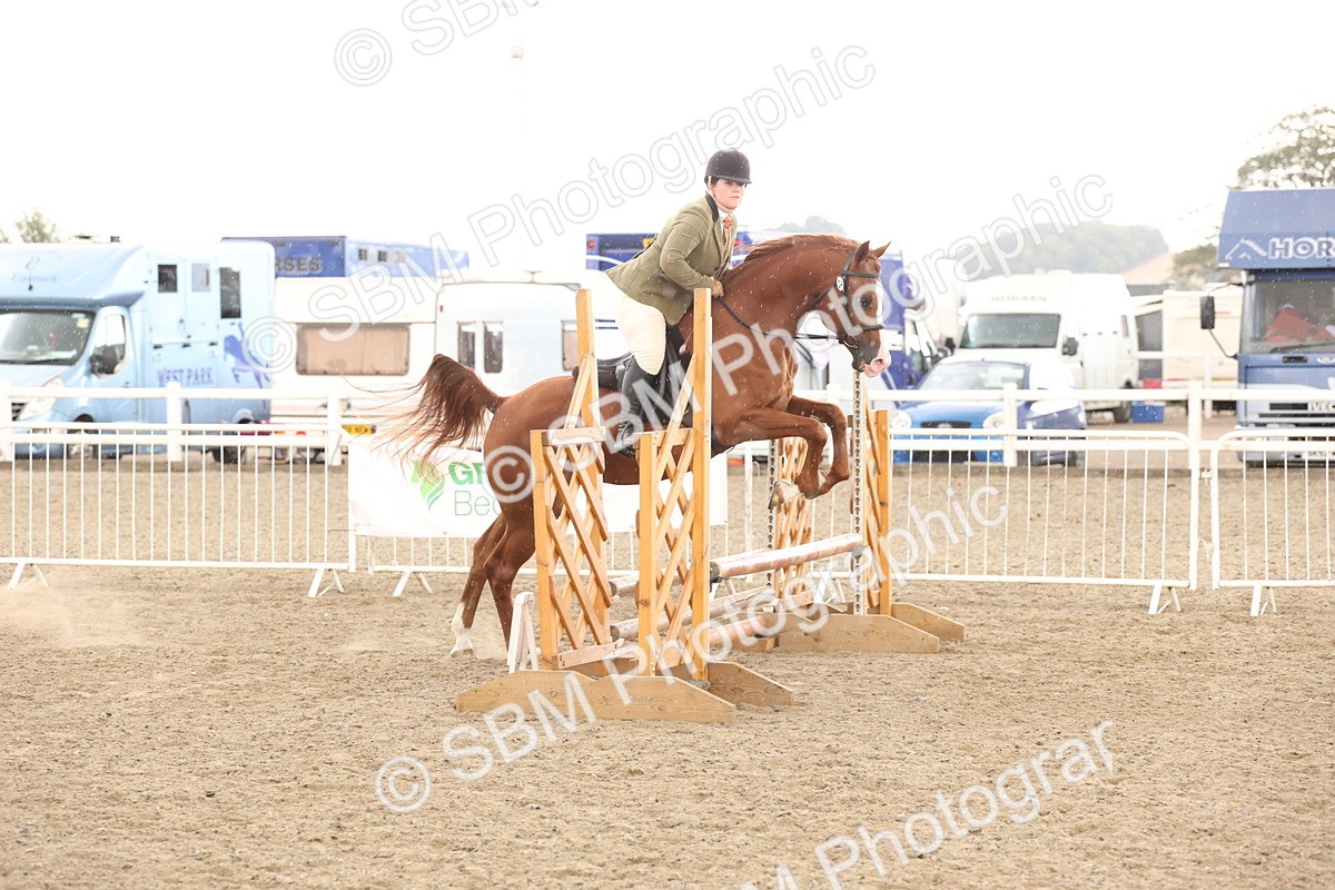 SBM_07586 - Class 59b -  Style & Performance - 80cm (20+)