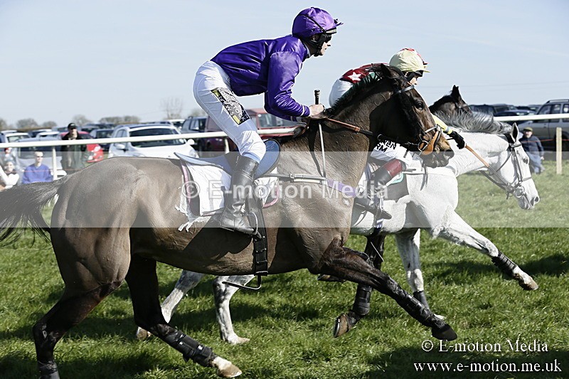 PtP 260317 253 - Mendip Farmers Point-to-Point Ston Easton 26/03/17