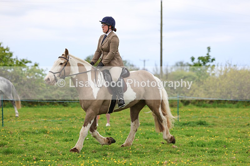 3E7A1007 - Class 6: Ridden Coloured