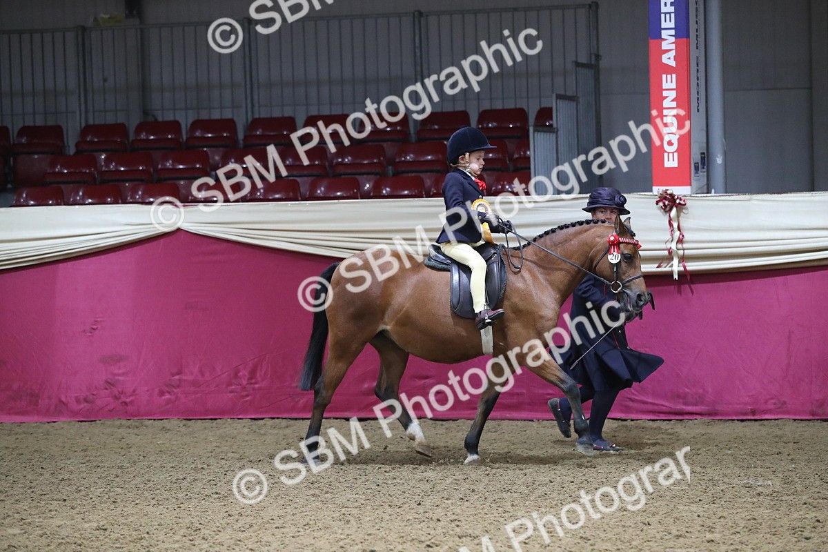 SBM_09377 - Class 101 Equitation (best rider), Junior