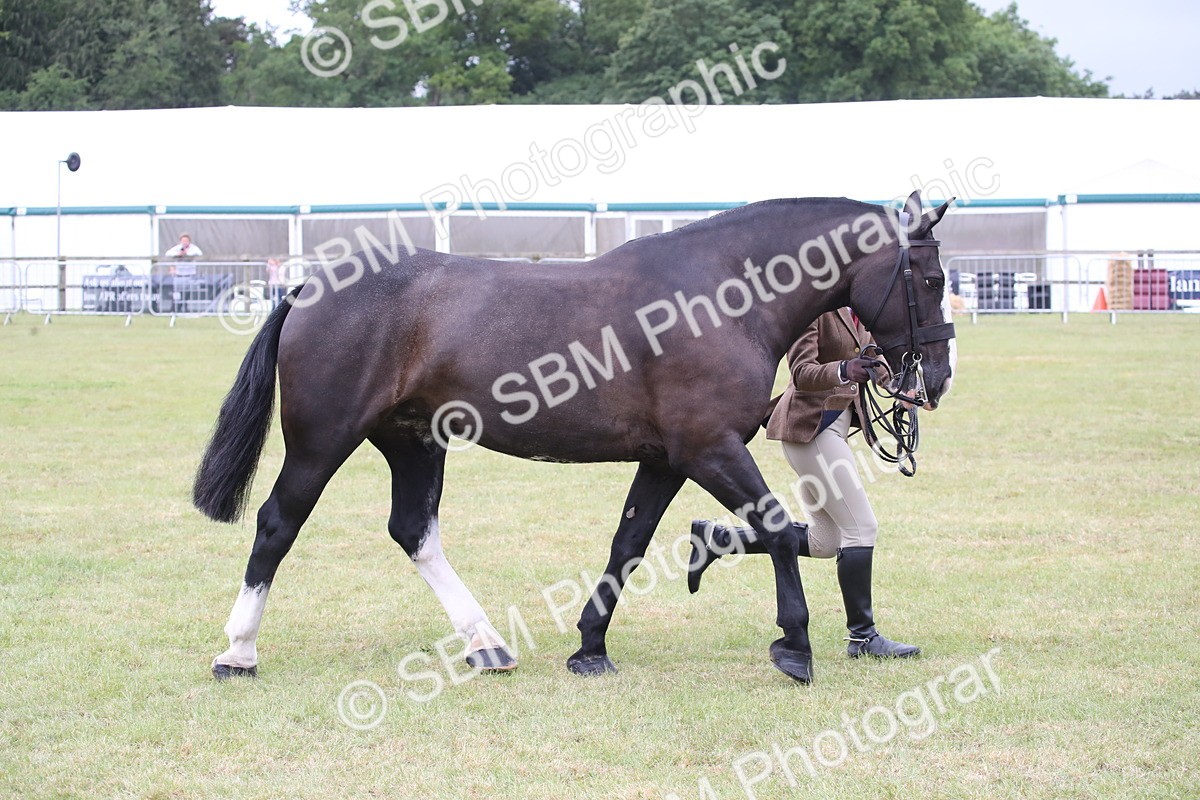 SBM_11266 - Class 92-93 - LIHS BSHA Rising Star Cobs