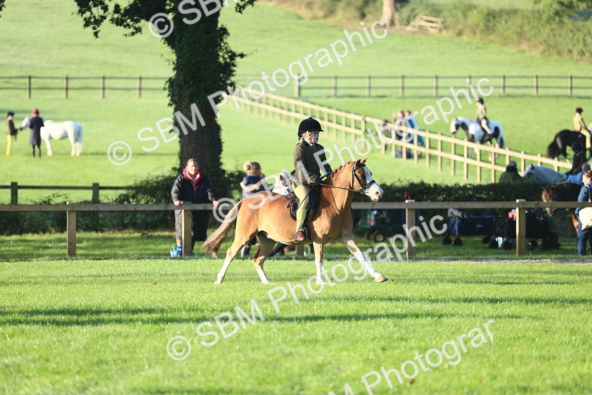SBM_37225 - S29 - Novice & Newcomers Working Hunter Pony