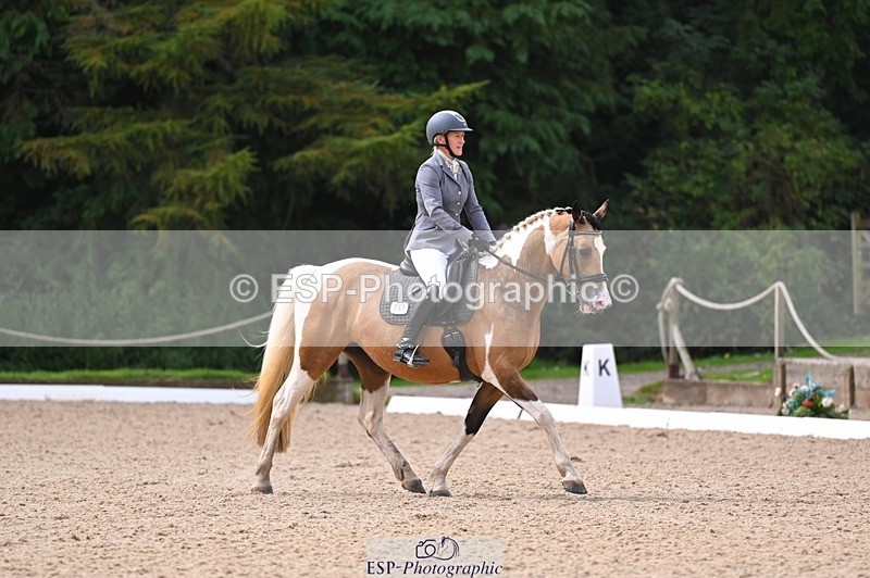 240809-104748-00287 - 157-Judi.Roome-Custard.Cream