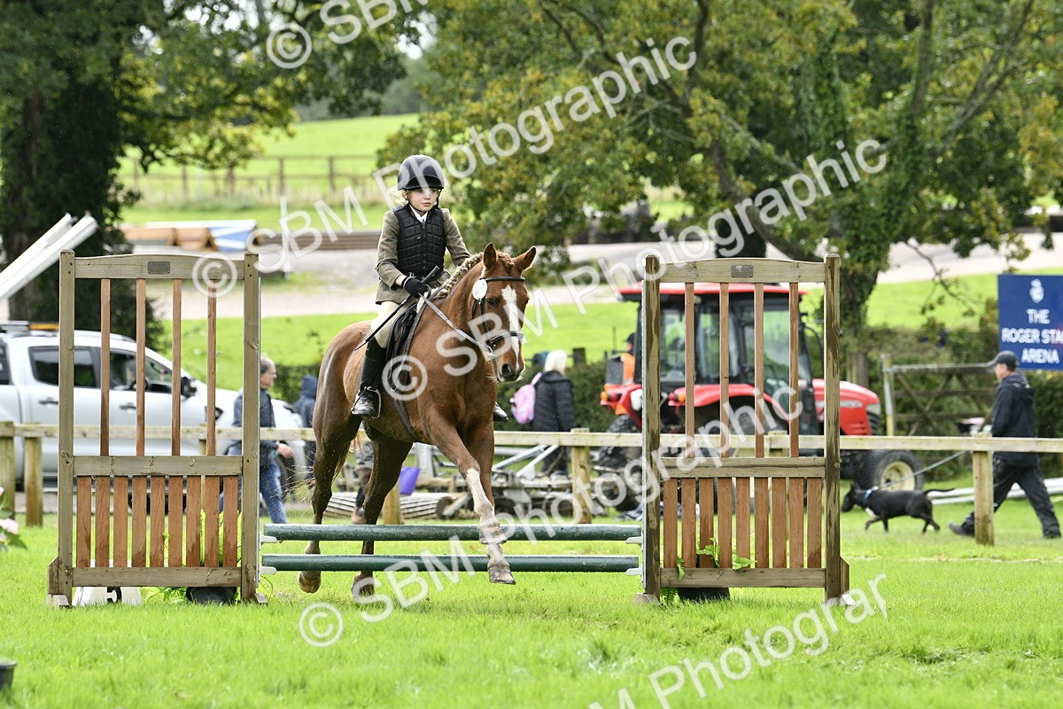 SBM_41470 - S32 - Mountain & Moorland Working Hunter Pony