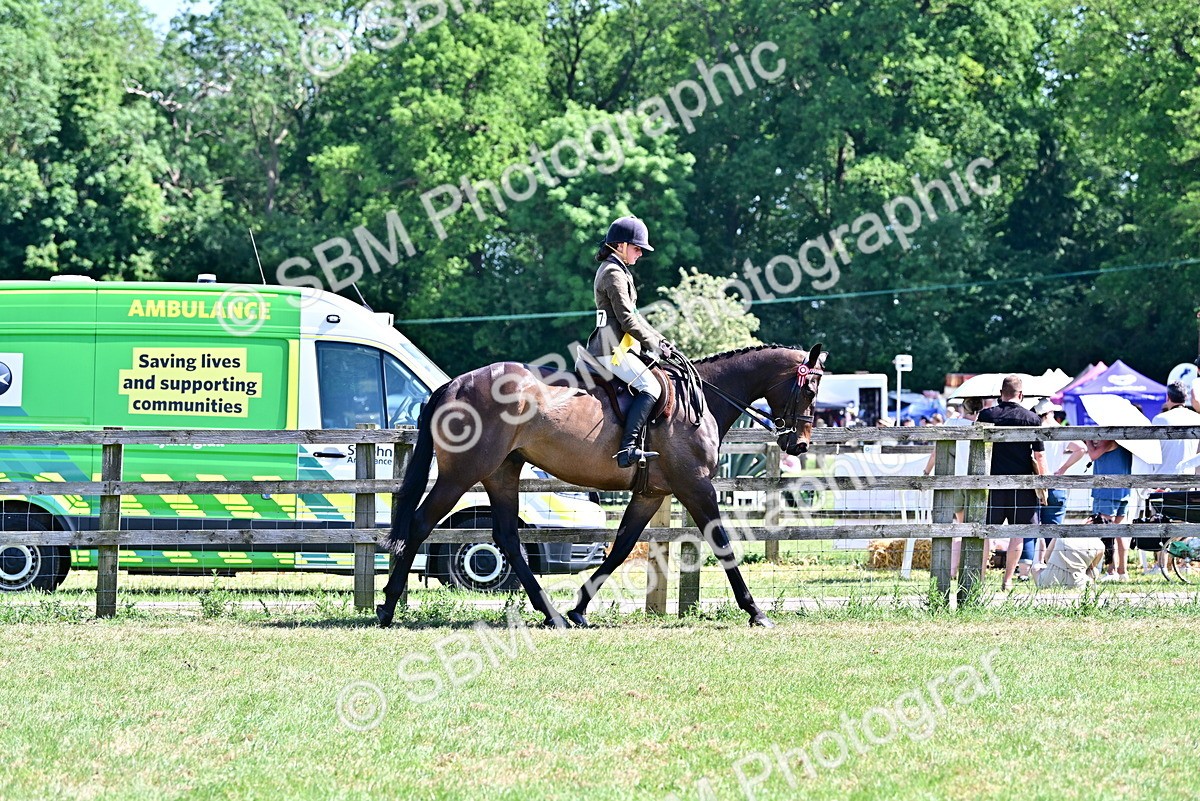 SBM_18252 - Class 99-100 - Retraining of Racehorses Ridden