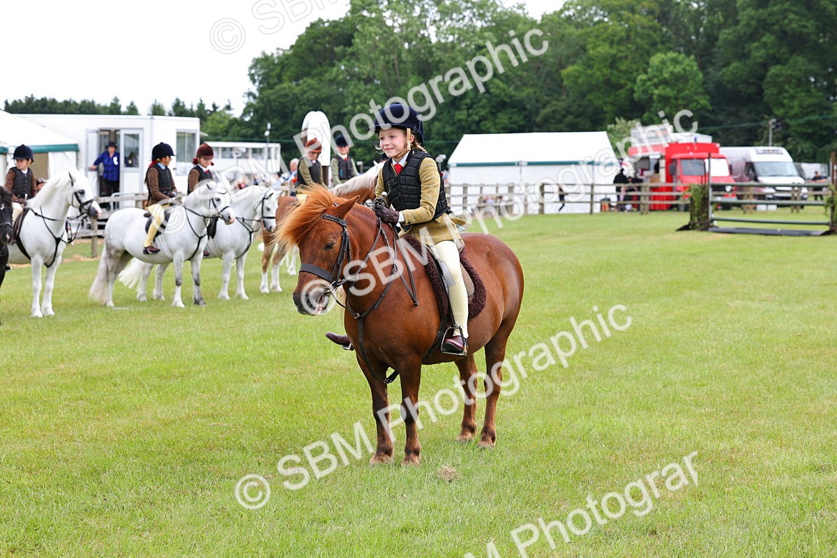 SBM_08648 - Class 42-43 - LIHS BSPS Heritage Working Sports Pony