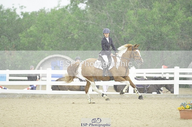 230729A-100146-04514 - Cls 20 British Novice & 90cm Open